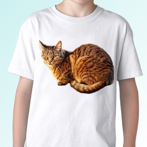 Shirt bianca gatto - t-shirt,