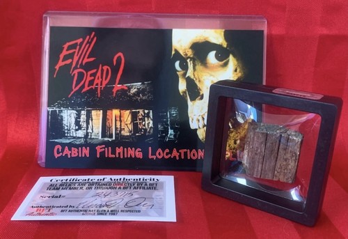 Evil dead cabina location - 2,