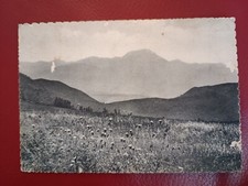 CINGOLI MACERATA - Stazione Climatica - S. Vicino m. 1400