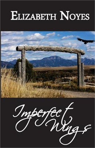 Imperfect wings paperback - imperfect, or