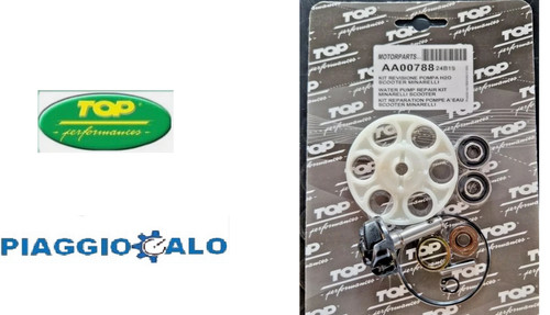 Aa00788 kit revisione pompa - revisione,