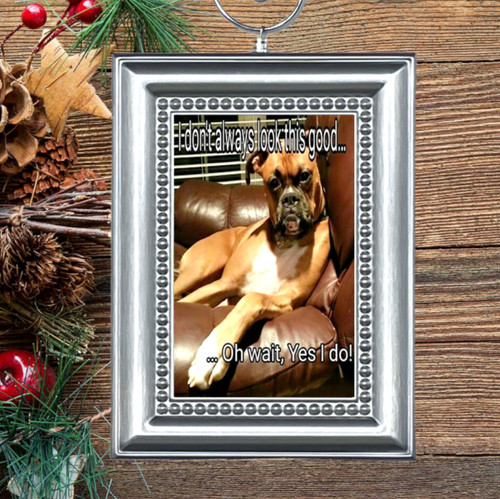 Boxer cucciolo cane - boxer,
