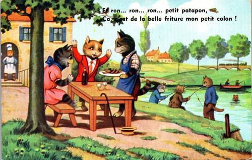 Animaux chats et ron - chats,