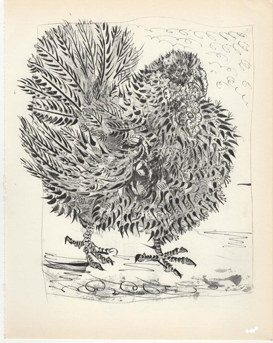 Pablo picasso gallina - pablo,