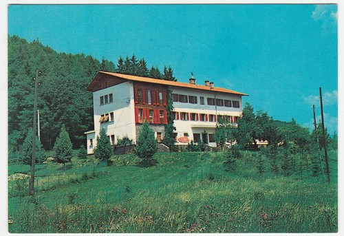 Montagnaga pine trento - montagnaga,