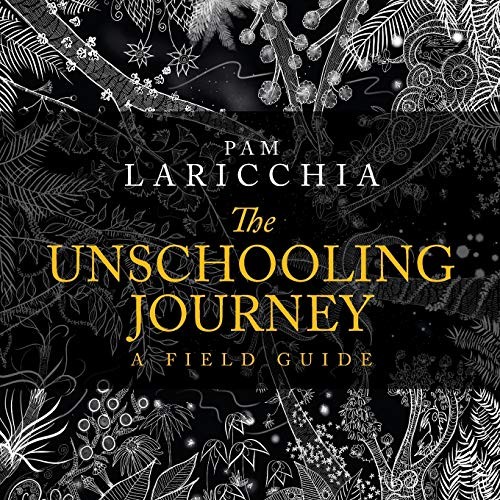 The unschooling journey a - the,