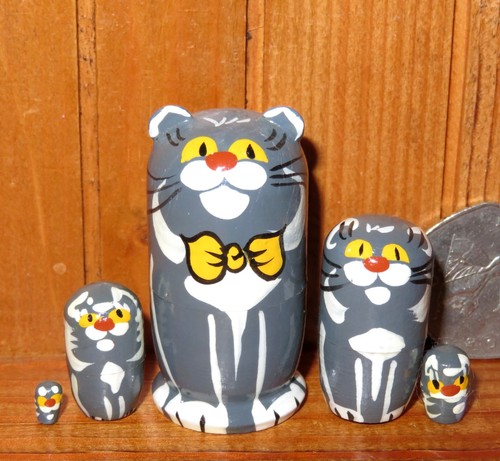 Leggeri secondi gatti grigi - secondi, in