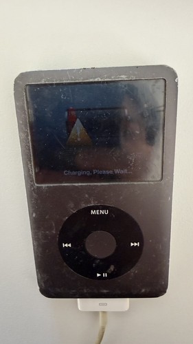 Apple ipod a1238 - ipod, grey