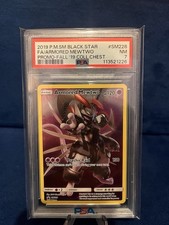 2019 P.M.SM BLACK STAR