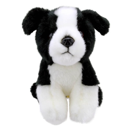 Plüsch border collie wilberry - border,