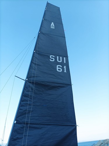 Vela per catamarano - vela,