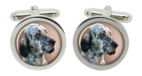 Inglese setter gemelli - inglese,