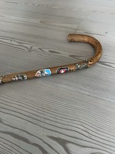 Bastone Montagna Con Placche