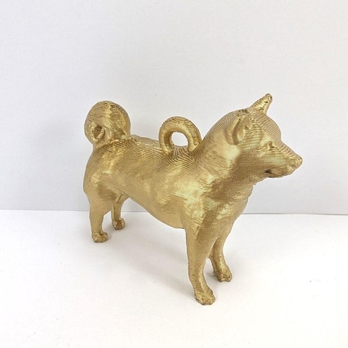 Shiba inu cane - cane, di