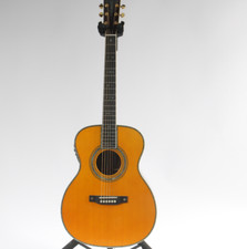 Chitarra elettrica acustica