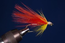 Fliegentom Streamer