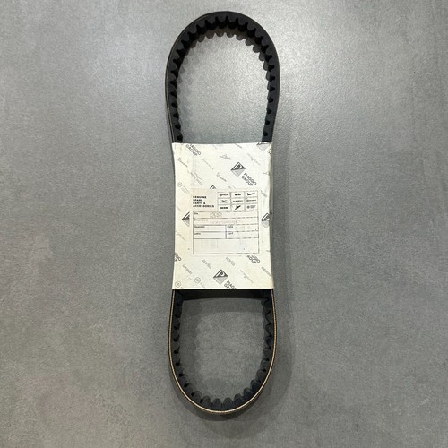 Cinghia scarabeo 100 - 100, 4t