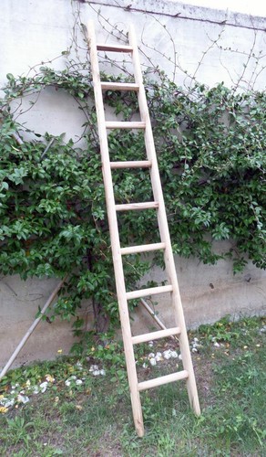 Scala scaletta pioli - scala,