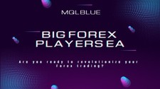 Big Forex Player EA MT4 forex