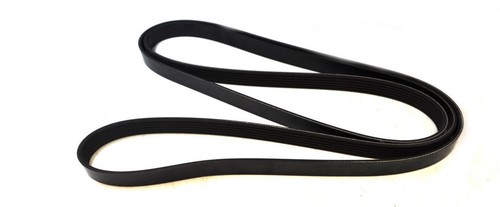 Nuova cintura serpentina - serpentina, per