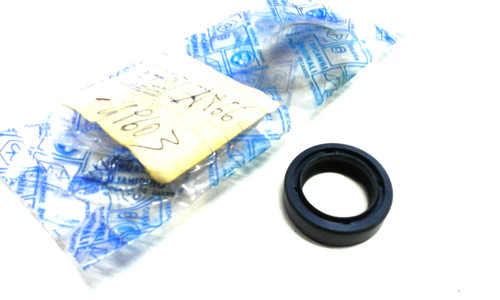 269603 paraolio forcella - 269603,