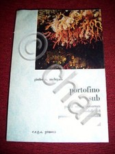 Sport melegari subacquea - -,