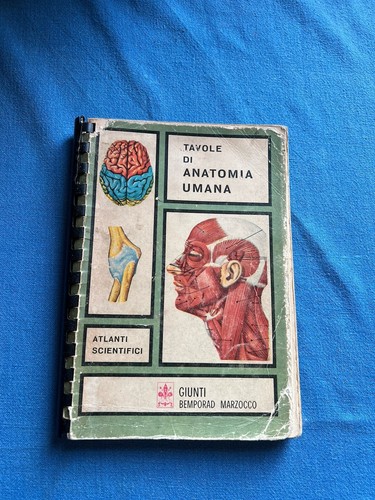 Tavole anatomia umana - tavole,
