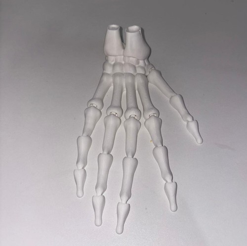 Mano articolata scheletro - mano,