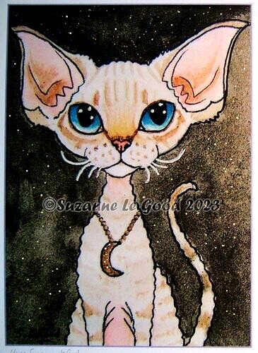 Devon rex cat art - devon,