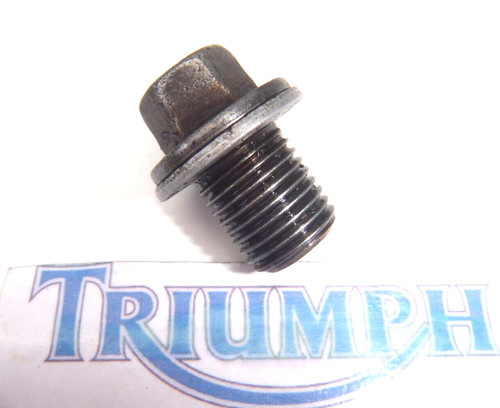 Triumph 600 tt600 coppa - tt,