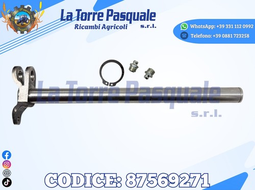 5086574 4959313 albero - 4959313,