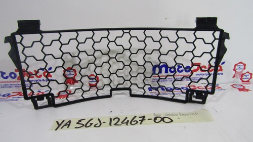 Plastica griglia radiatore