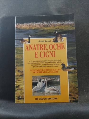 Gianni ravazzi anatre oche e - anatre,
