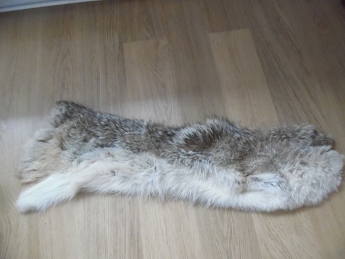 Rara pelliccia coyote - pelliccia, di