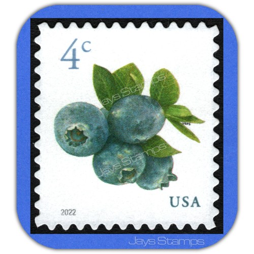 2022 blueberries timbro - 2022,