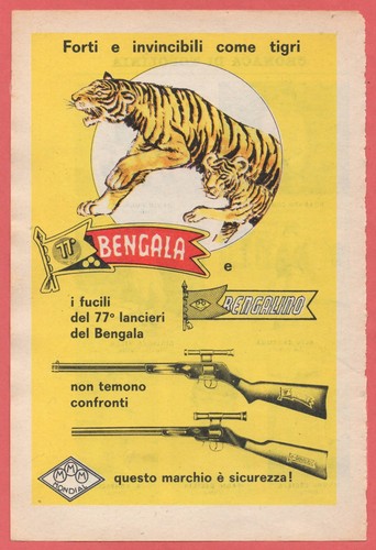 Mondial bengalino anno - mondial:,