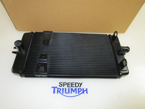 Radiatore triumph speed - radiatore, twin