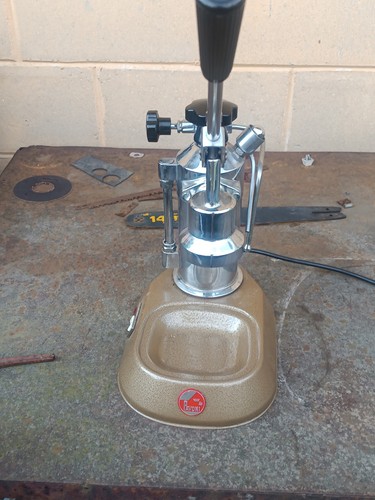 Pavoni europiccola in - pavoni,