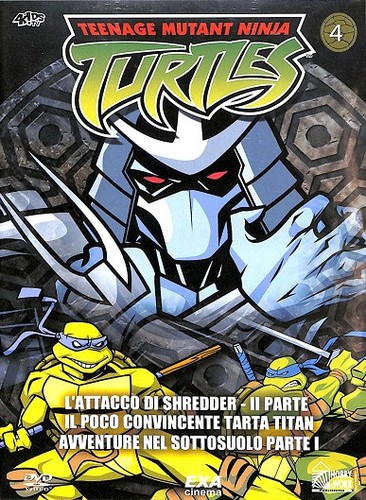 Teenage mutant ninja - ninja,