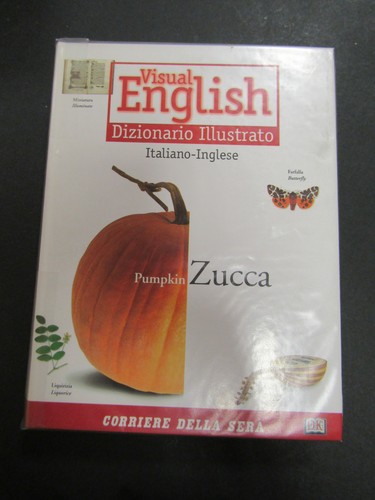 Visual english dizionario - visual, english.