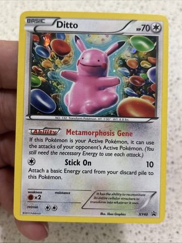 The pokémon company idem xy40 - the,