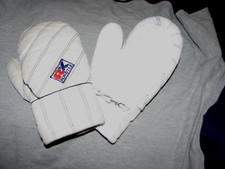 Vintage Kastle RX  Austria