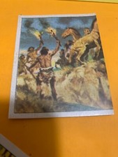 FIGURINA N.231 ANIMALI