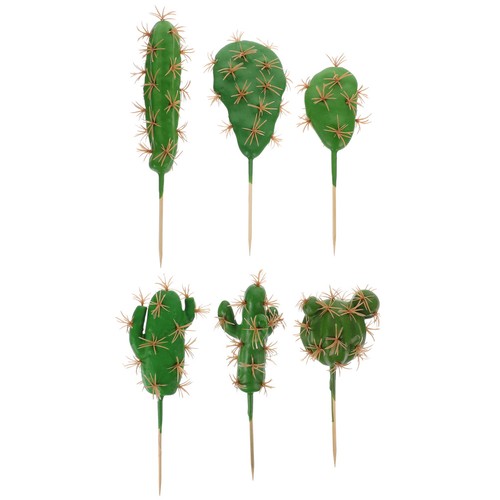 Pezzi di cactus - ,