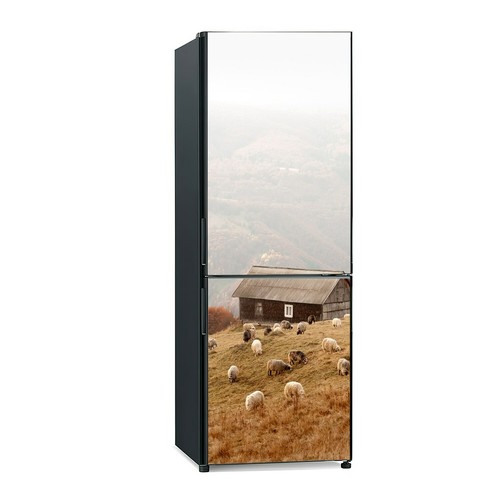 Adesivo decorazione frigo