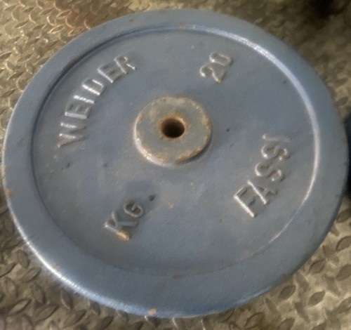 Due dischi palestra - palestra, kg