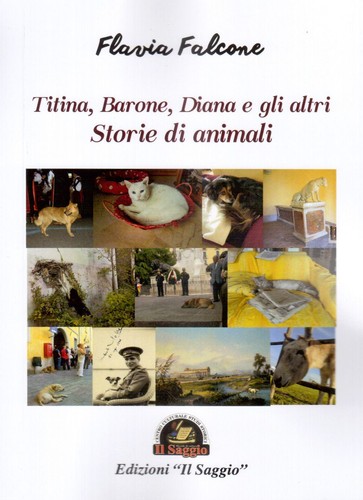 Libro flavia falcone - libro,