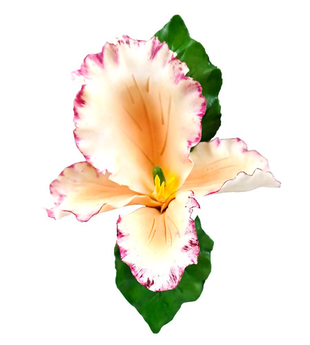Capodimonte orchidea gialla - capodimonte,