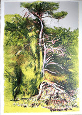 Giancarlo cazzaniga - cazzaniga,