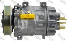 A/C Compressor TEAMEC 8646026